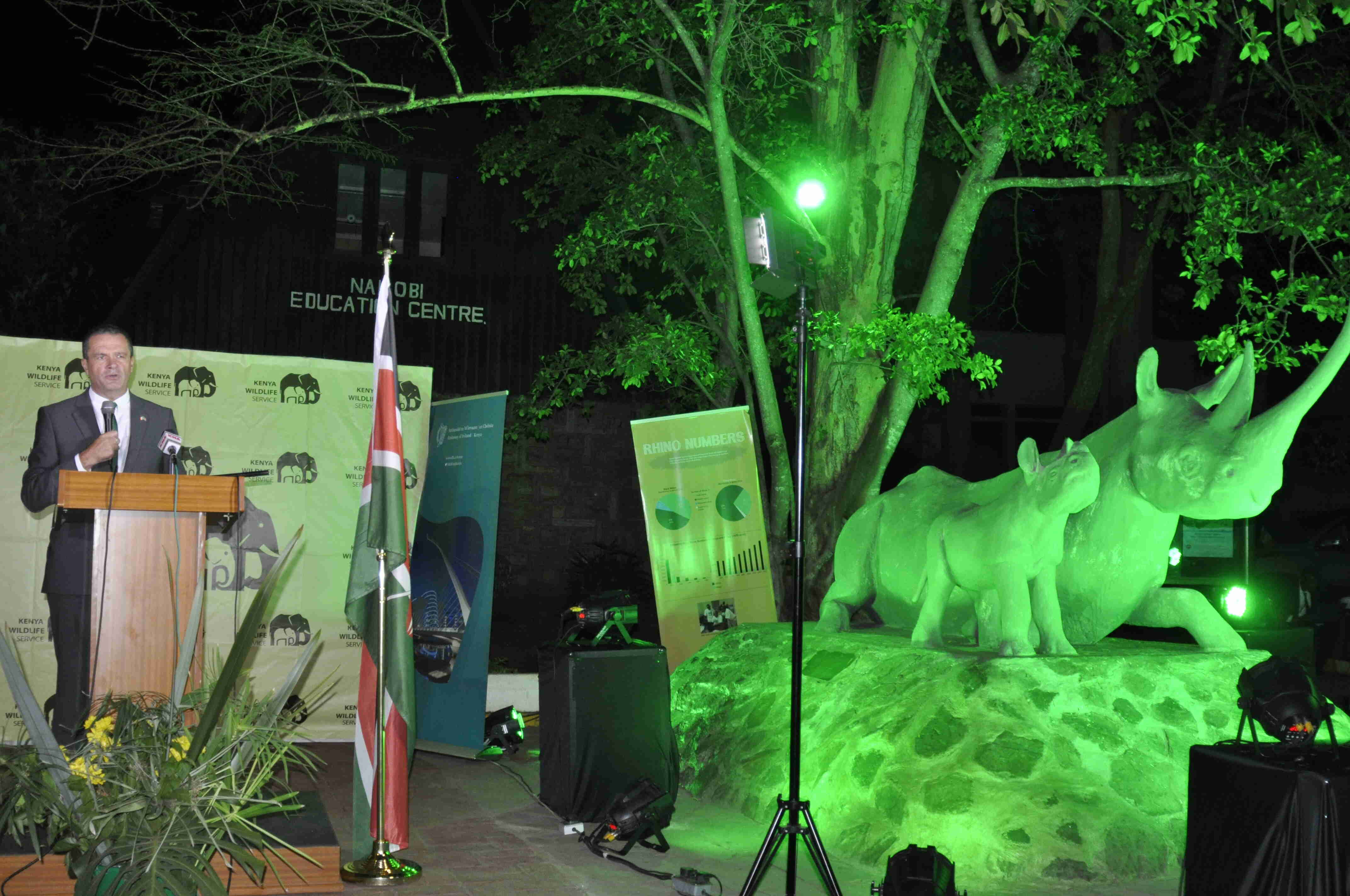 Two Kenyan Iconic Rhinos 'Greened' Ahead of St. Patrick's Day Kenya